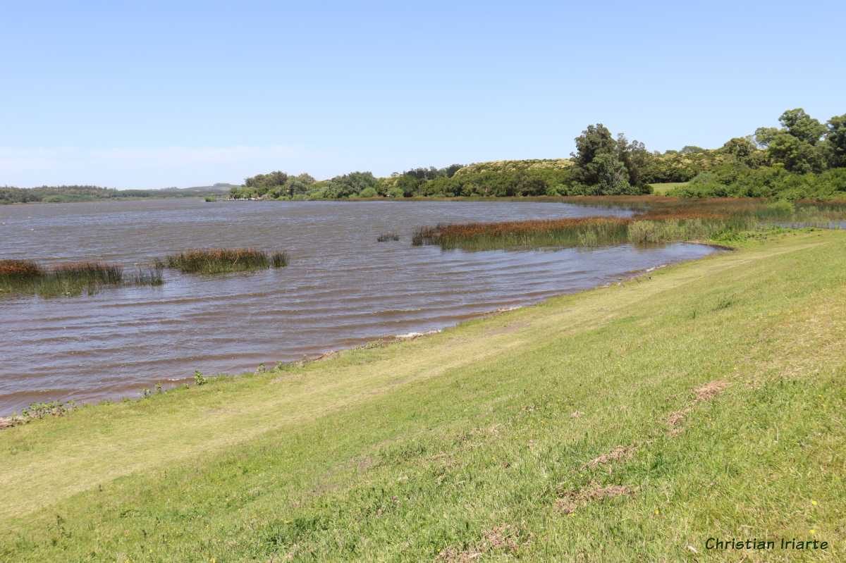 Imagen: Laguna de los Padres