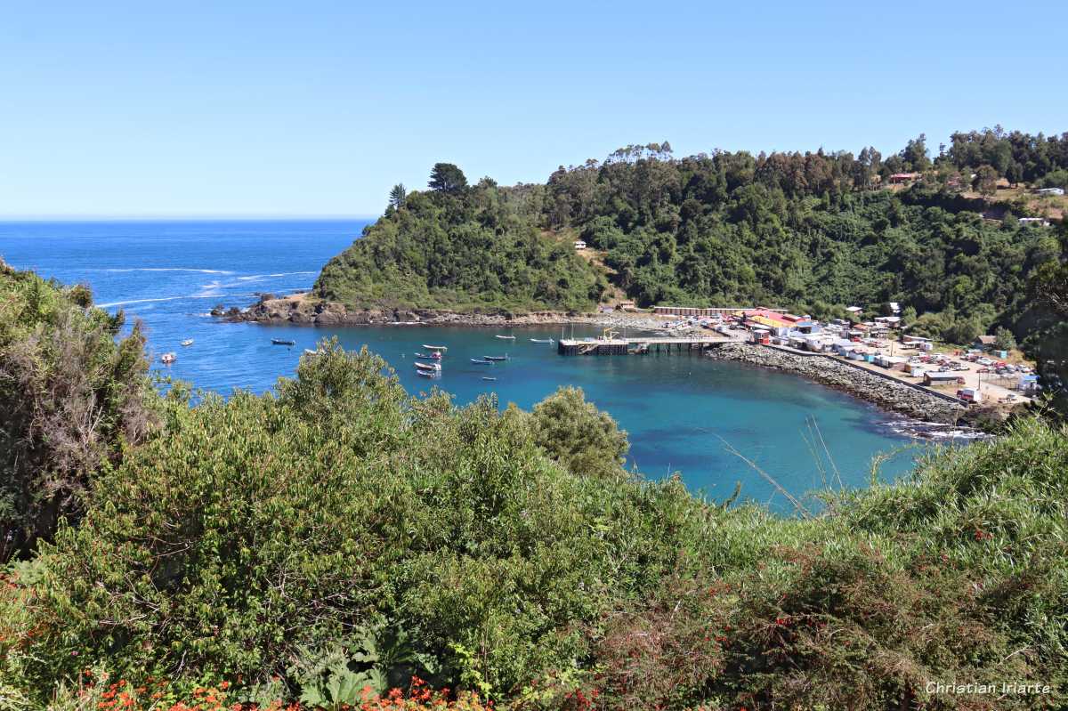 Imagen: Bahía Mansa