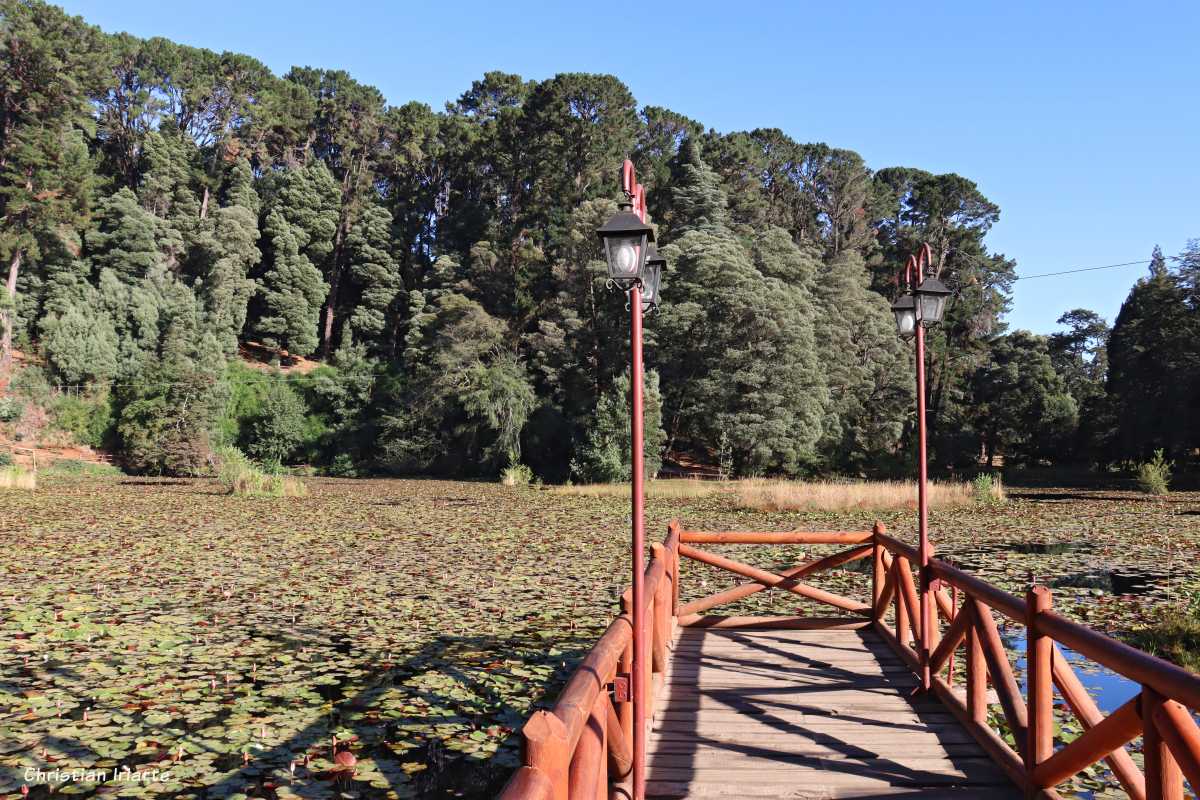 Parque Saval - Valdivia