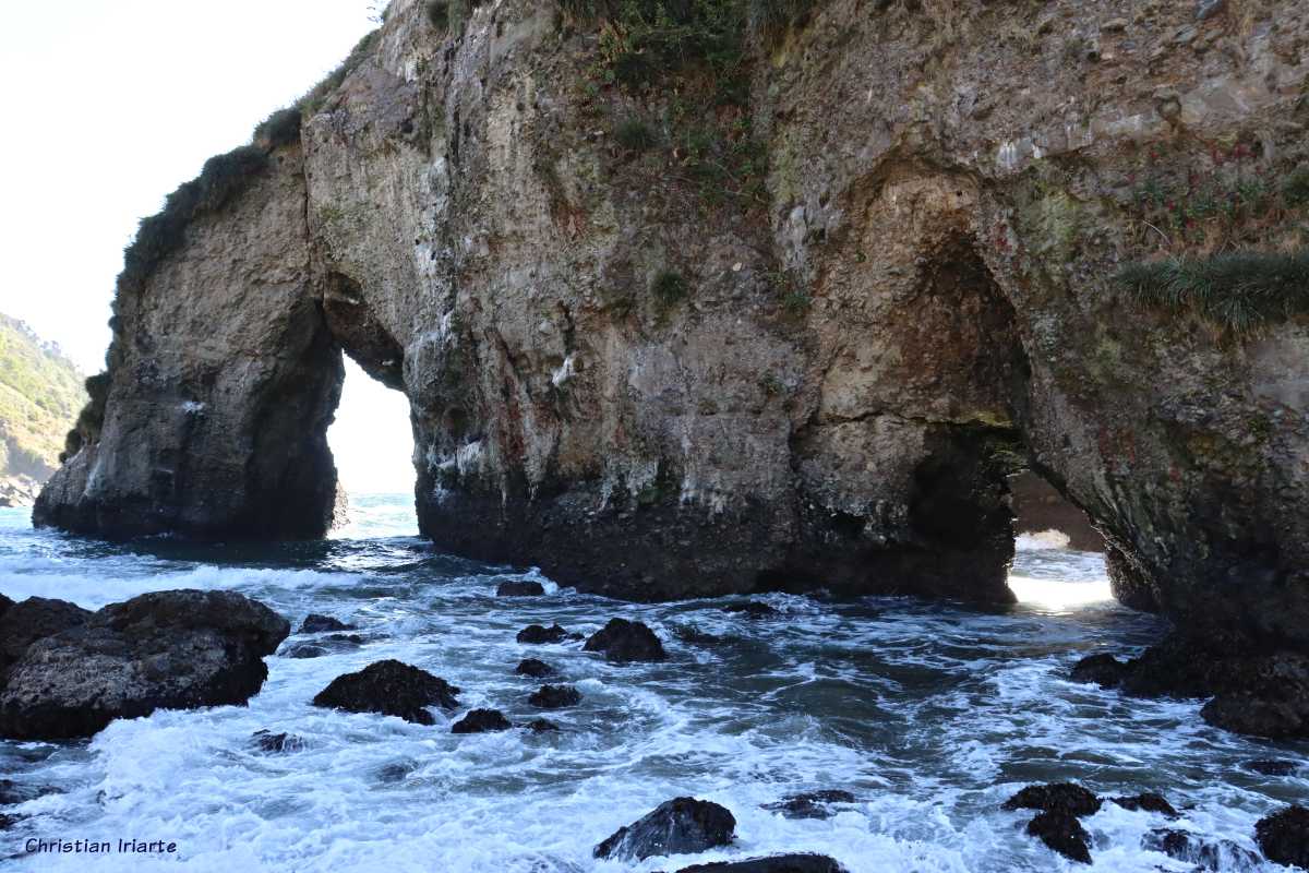 Pilolcura
