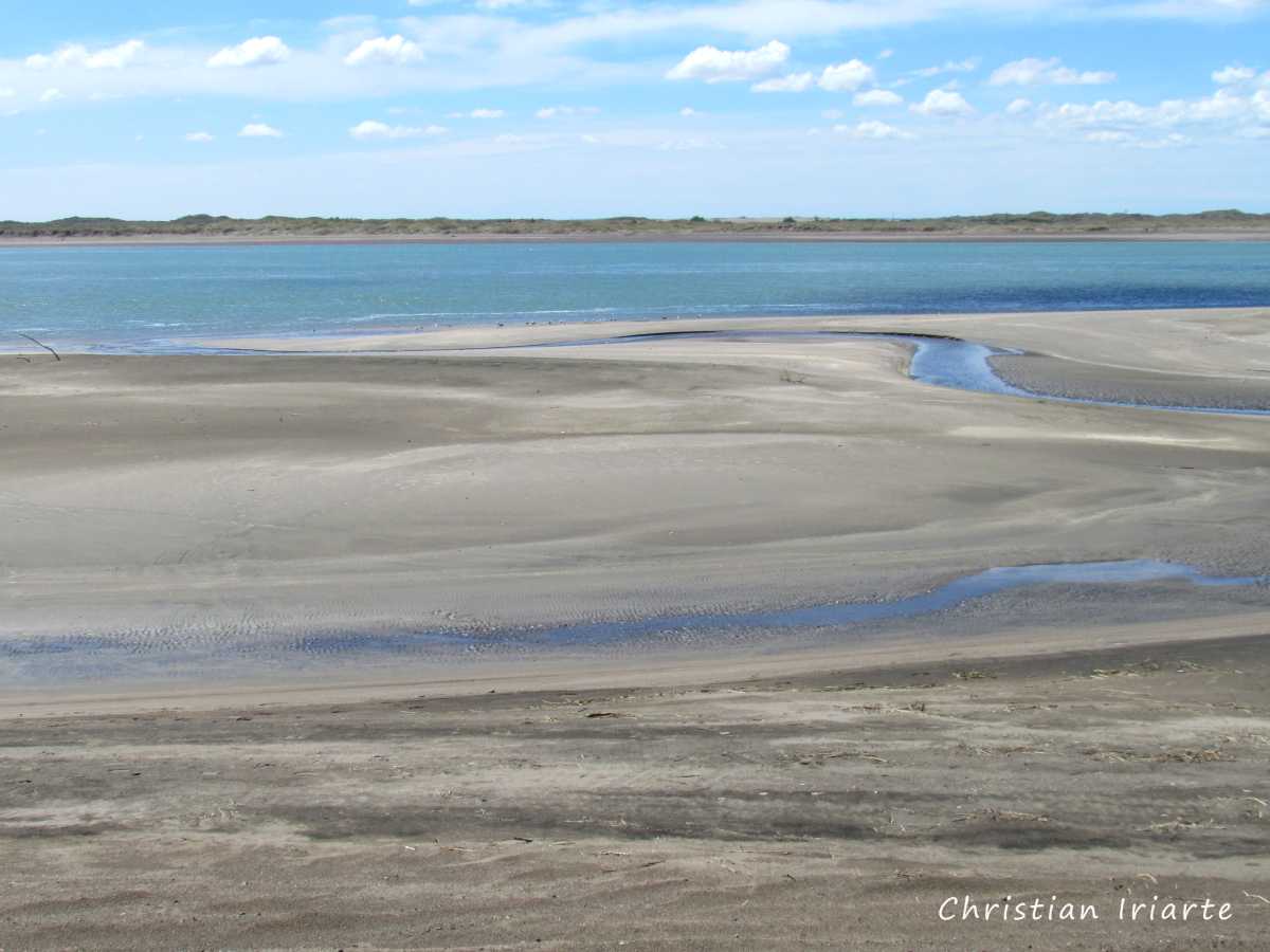 Negro River near its mouth