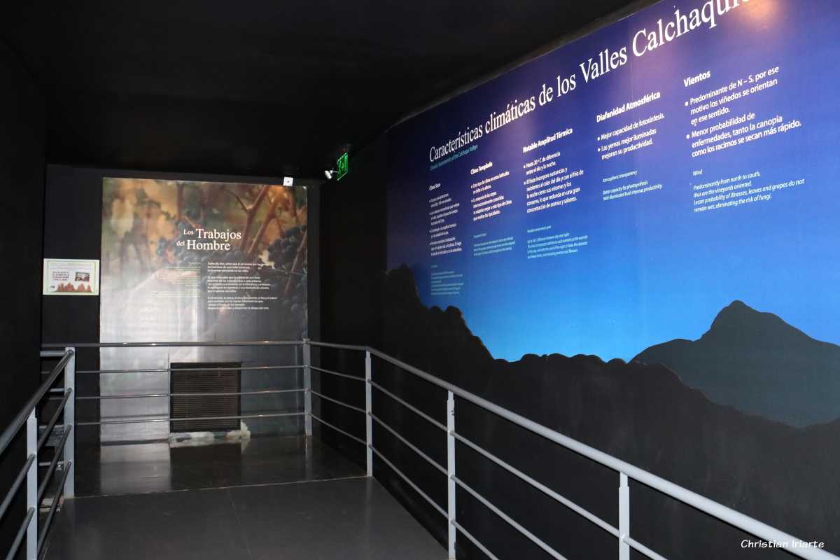 Image: Museo de la Vid y el Vino (Vine and Wine Museum)
