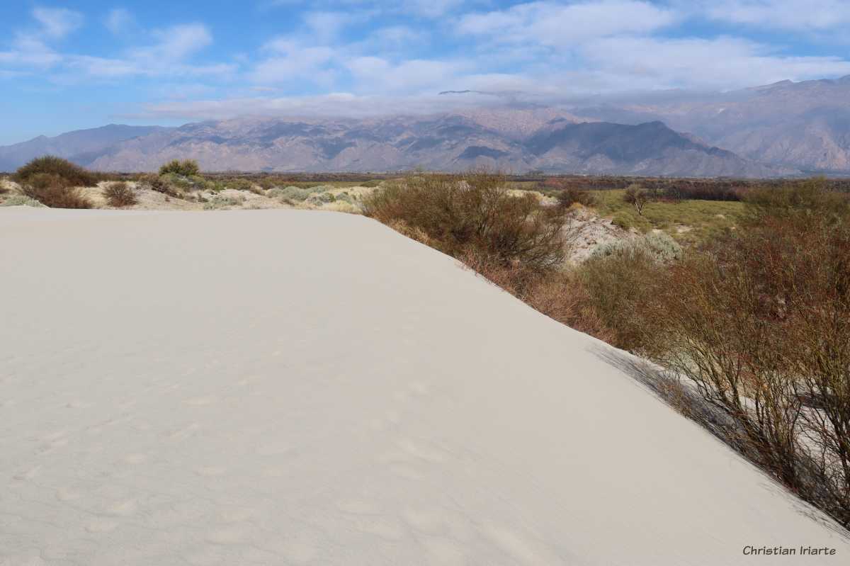 Sand dunes on the outskirts of Cafayate