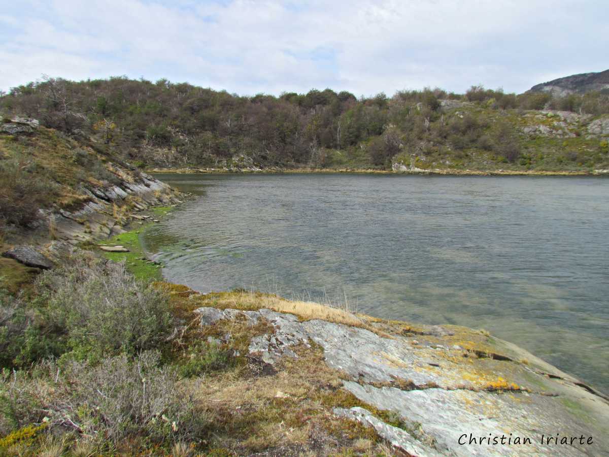 Paseo de la Isla - Tierra del Fuego National Park