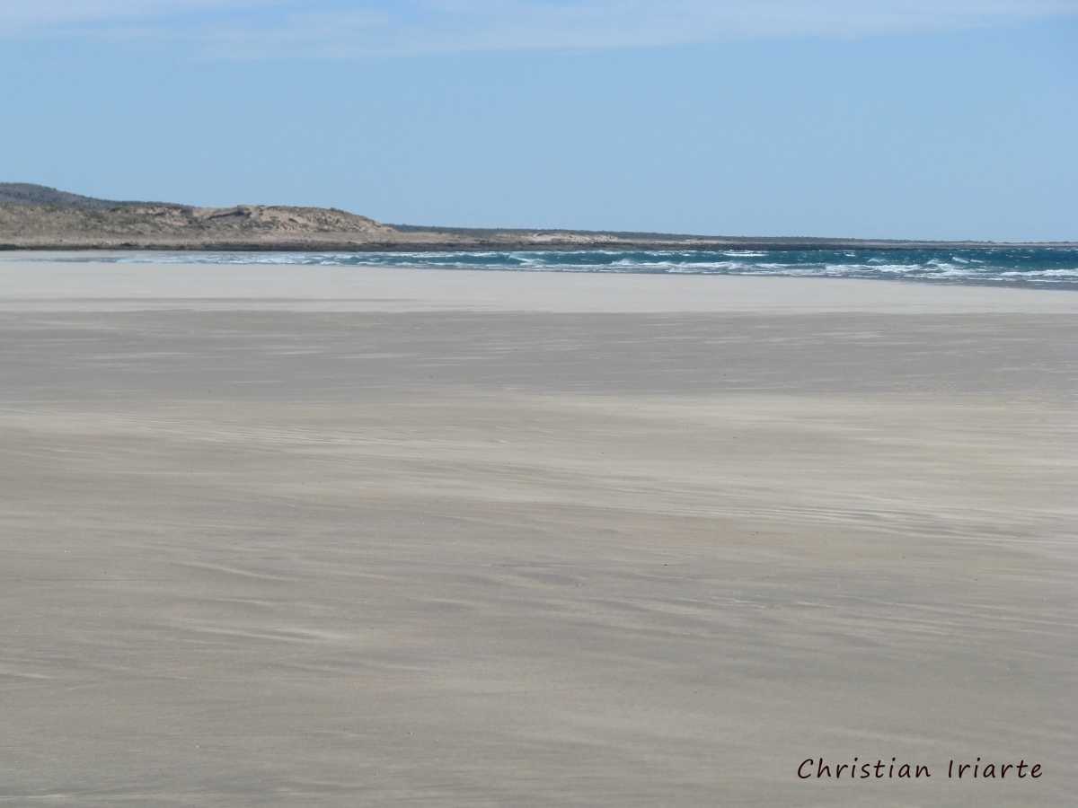 Image: Playas Doradas