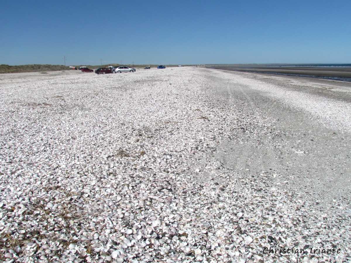 Las Conchillas Beach