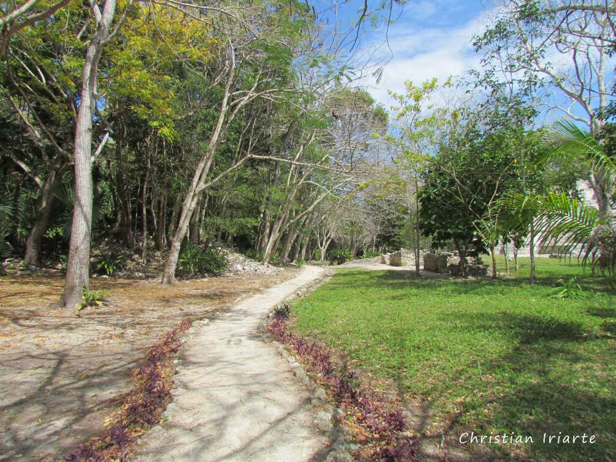Internal trail - Muyil