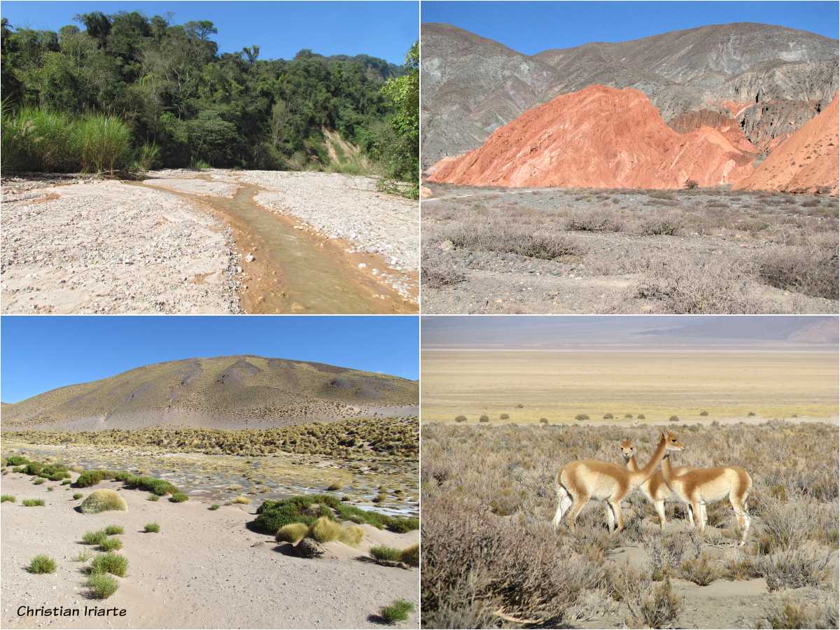 Landscapes of Jujuy